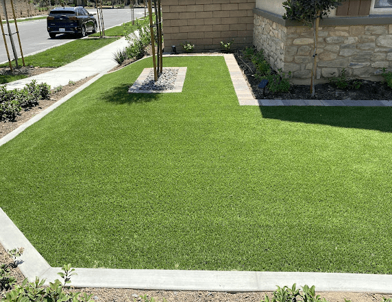 Turf Lawn in Los Angels
