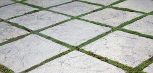 Concrete vs Paver Cost for Your Outdoor Space