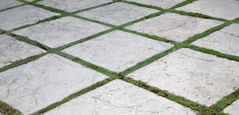 Concrete vs Paver Cost for Your Outdoor Space
