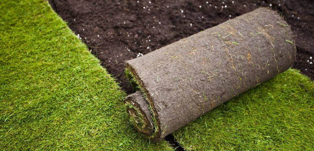 Turf Services in San Jose, California